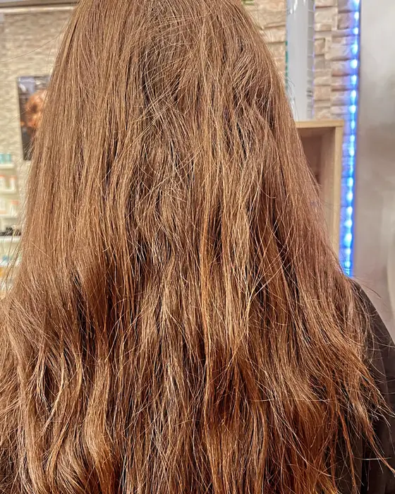Antes del alisado: melena larga castaña, encrespada y con ondas sin forma, vista de espaldas